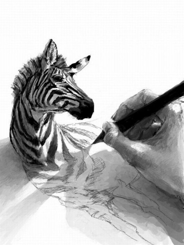learn to draw animals