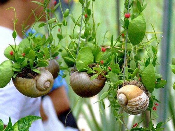 Creating ideas garden snail garden make