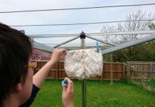 Brabantia’s 30 Day #LoveNature Challenge Brabantia’s 30 Day #LoveNature Challenge