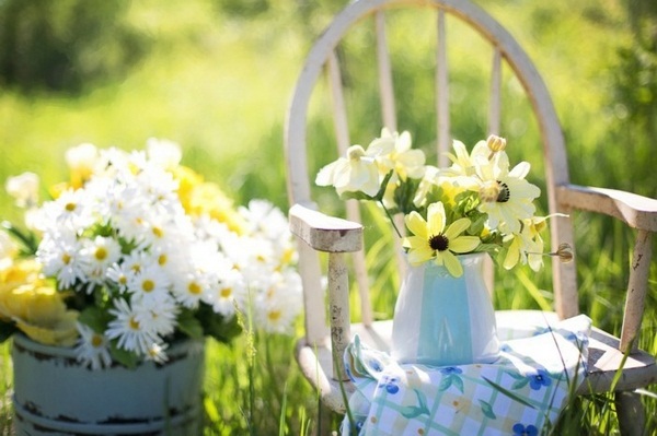 beautiful flowers in the garden style cottage