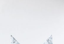 DIY Customized Cat Dig With Cute Ears