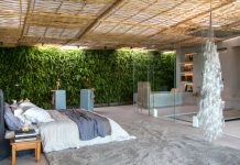 Greatest Bathroom Plants to Decorate your Modern day Bath with Greenery