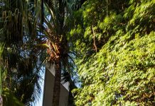 Outside Style Tips For A Personal Residence