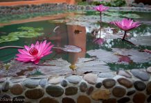 From Absolutely nothing to an Incredible Dome House in Only six Months