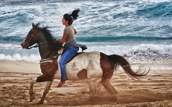 A lone rider on her beautiful horse on one of the world's best surfing beaches.