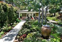 sixteen Landscaping Backyard Fountain Layout Ideas