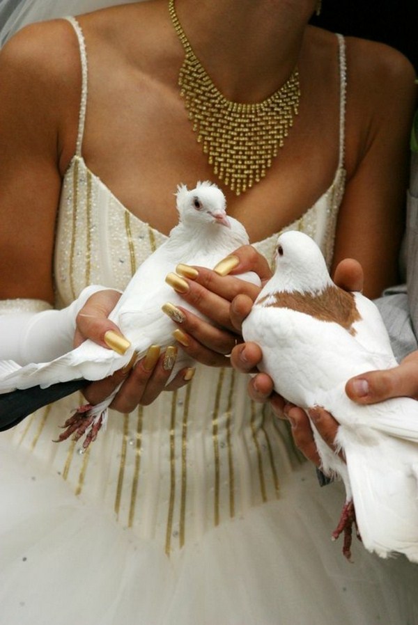 Pigeons for wedding look at eachother