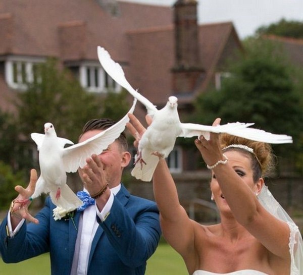 Pigeons for wedding with smile