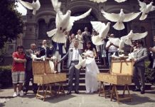 Pigeons to the wedding are definitely a very good-luck charm