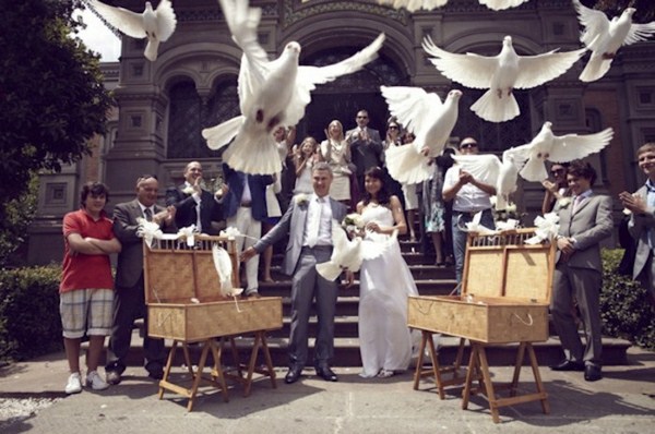 Pigeons to the wedding are definitely a very good-luck charm