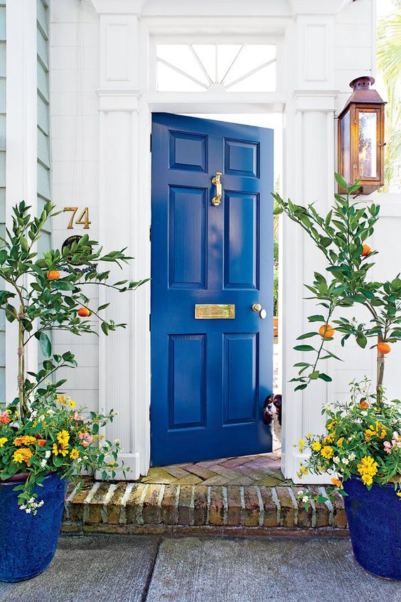 dazzling blue front door and blue pots with fruit