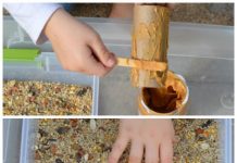 17 Super Fun Kids Garden Projects to Pursue in Spring