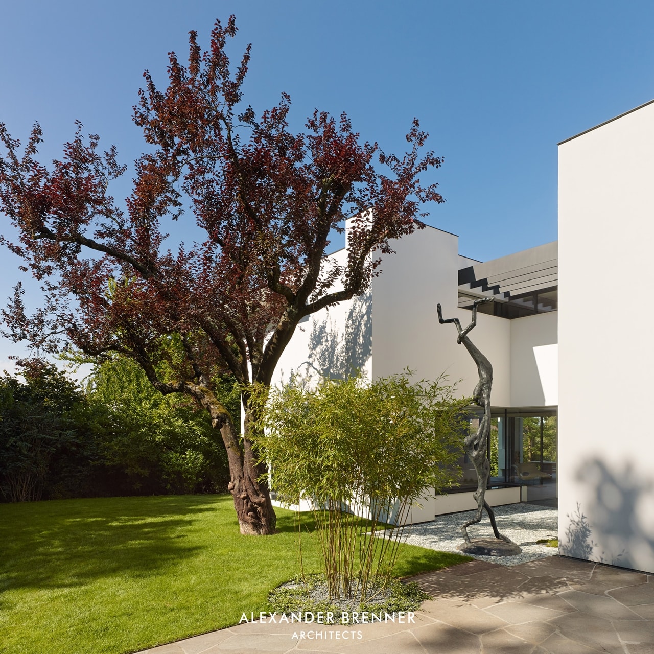 A tree in front of modern villa by Alexander Brenner