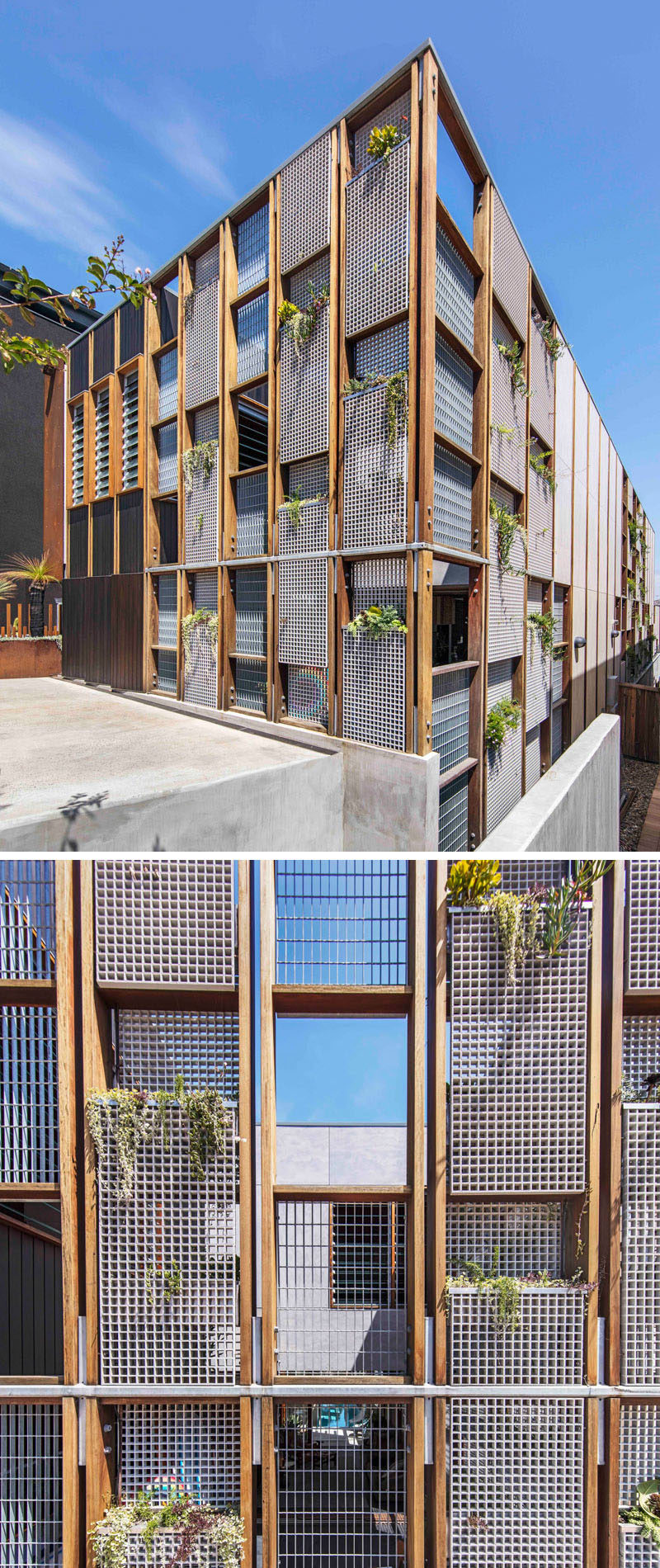 The facade of this modern house is made up of a wood grid with windows and perforated metal panels. These metal panels allow for a vertical garden to be grown over time.