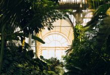 Get Inspired By These 7 Amazing Conservatory Design Ideas