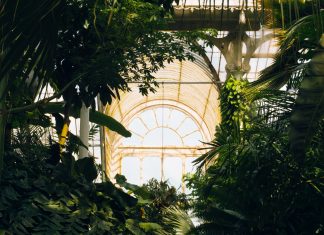 Get Inspired By These 7 Amazing Conservatory Design Ideas