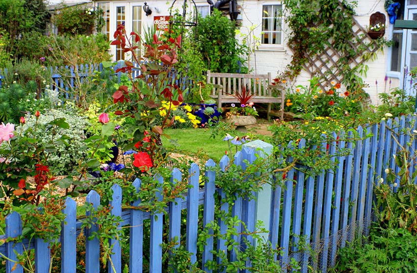 Flower garden picket fence painted blue