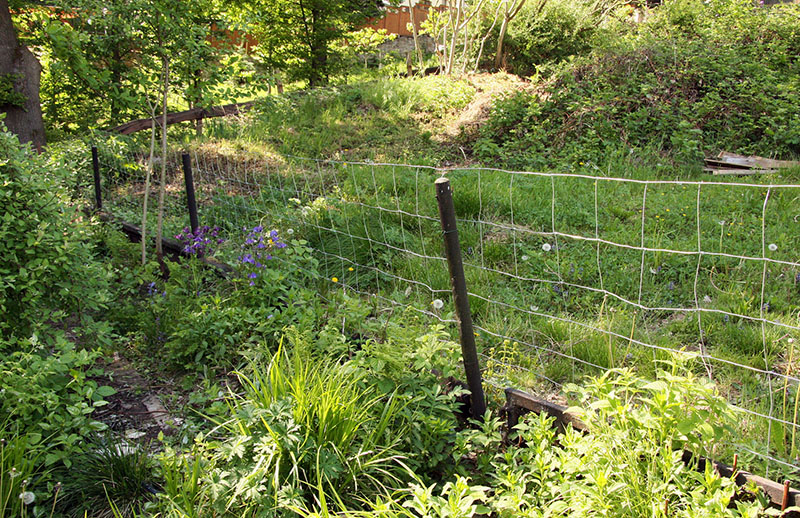 Basic wire mesh garden fence