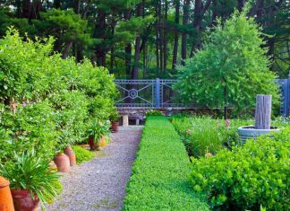 10 Stunning Garden Design Ideas to Transform Your Outdoor Space in 2026