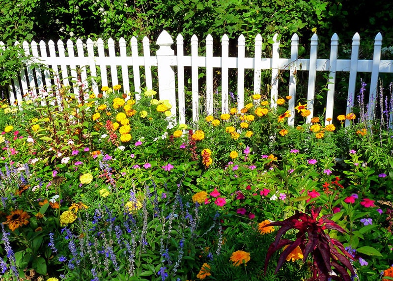 White pvc garden fence surrounded by flowers
