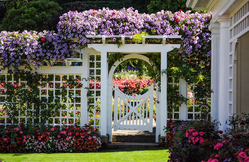 White wood lattice fence with flowers in garden