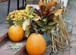 8 Fall Front Porch Decorating Ideas for a Warm Autumn Welcome Colorful autumn display with pumpkins, crotons, and chrysanthemums on brick steps in Doylestown, PA.