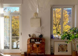 8 Renter-Friendly Fall Apartment Decor Ideas for a Cozy Home Comfortable home interior with warm sunlight and autumn trees outside the window.
