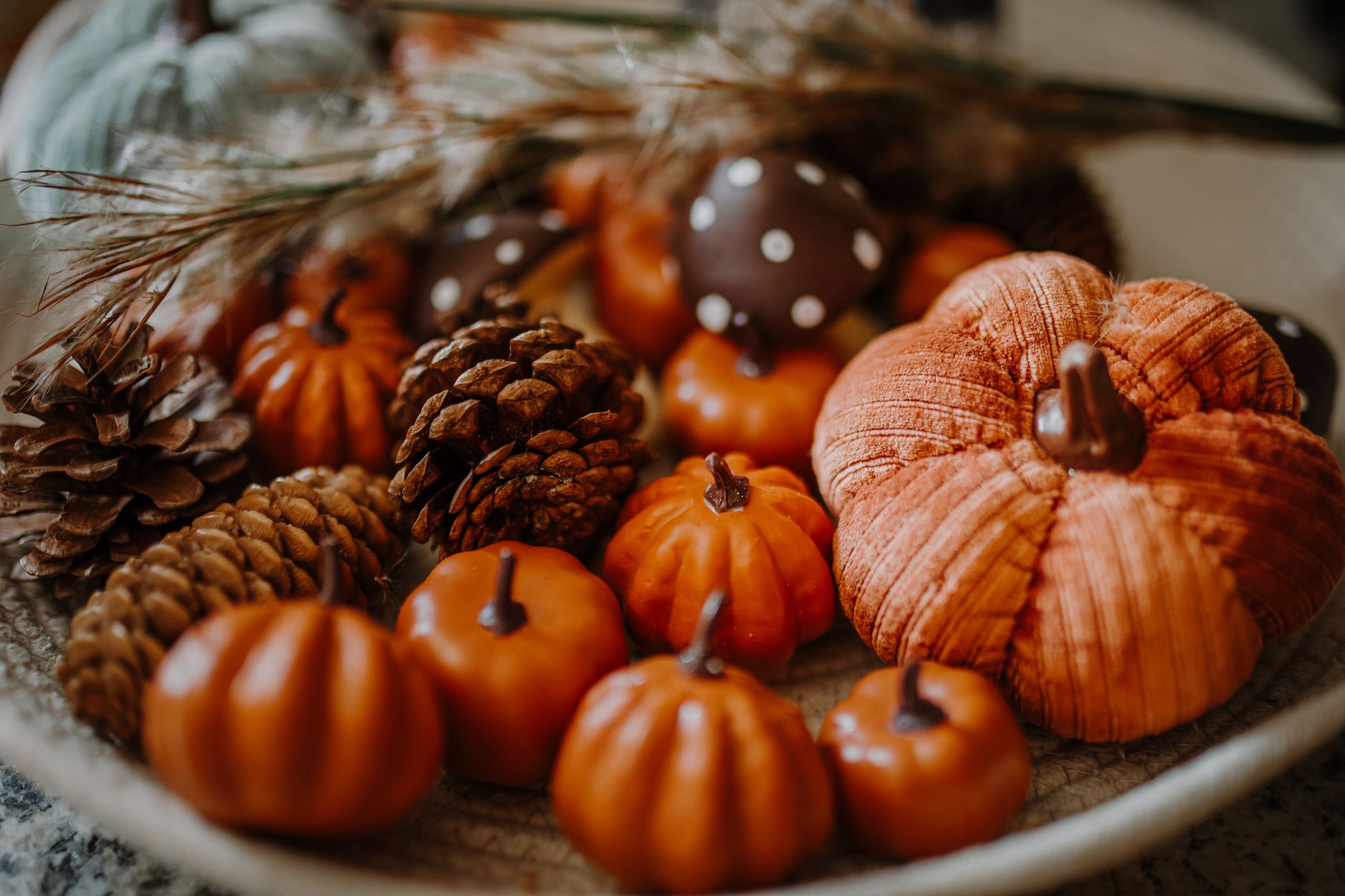 A warm, rustic arrangement of pumpkins and pine cones for autumn decoration.