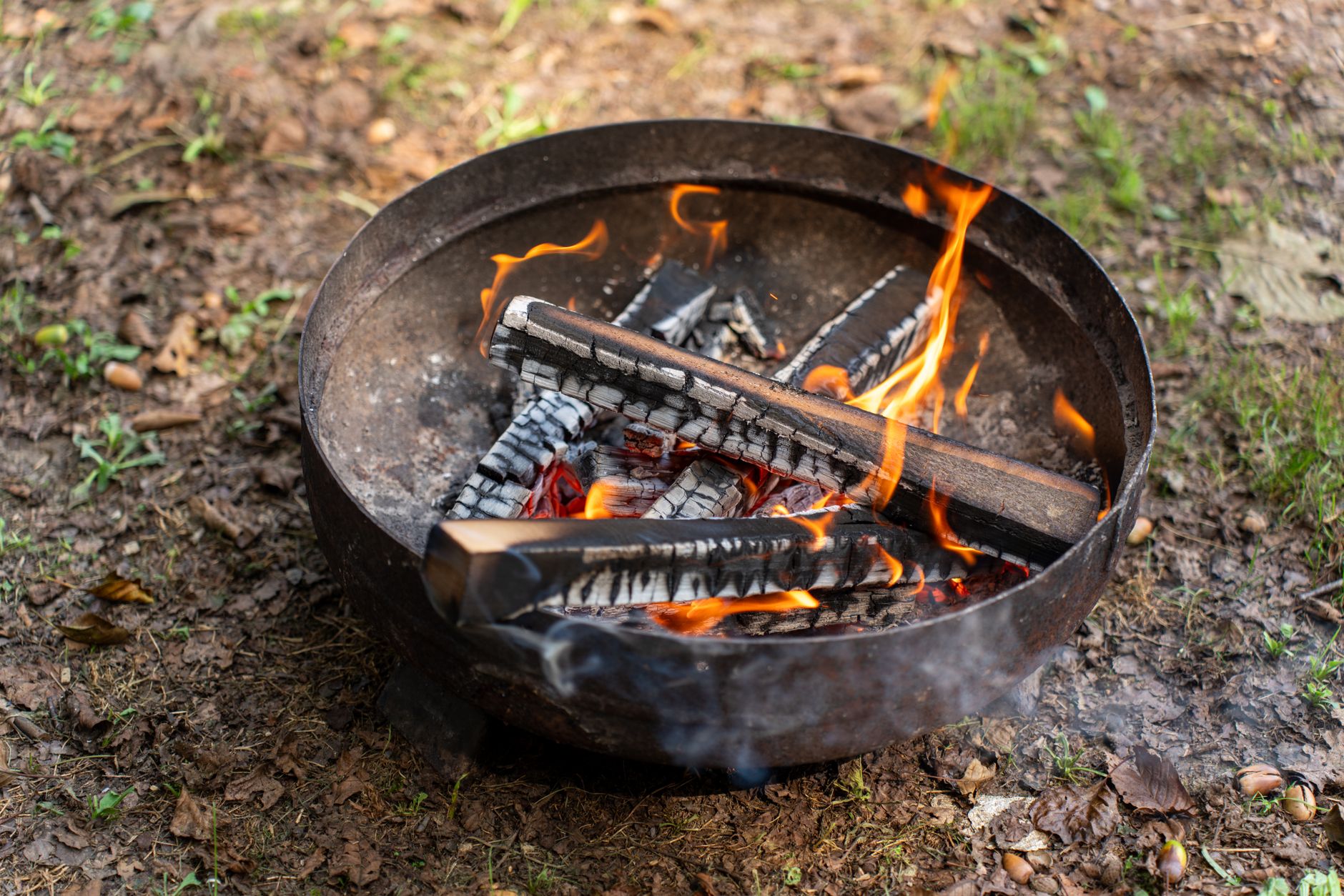 Close-up of a campfire with burning logs in a metal fire pit on grassy ground.