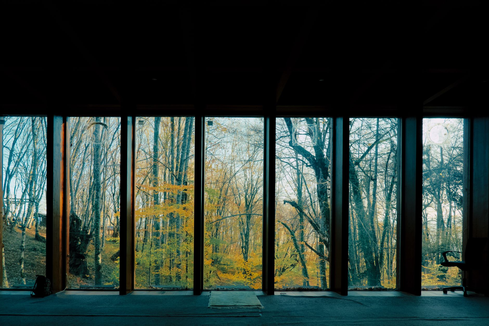 A serene panoramic view of autumn woodland through large glass windows, creating a tranquil indoor-outdoor connection.