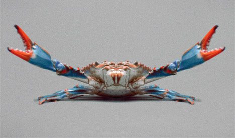 Tiny Crab Faces Giant Obstacles In Anton Tammi’s Glitching Music Video For Bruce Smear