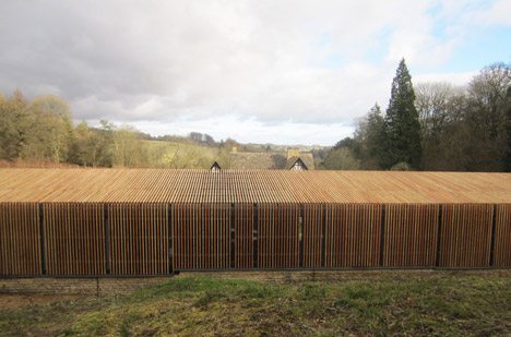 Feilden Clegg Bradley Studios Designs Larch-clad Shelter For Roman Ruins