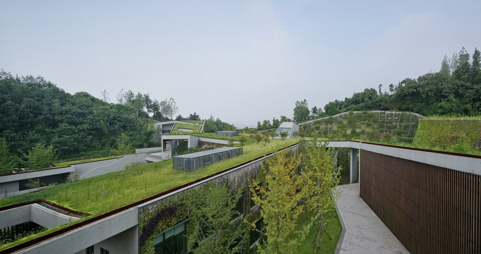 Vector Architects Disguises Mountainside Community Centre Beneath Sprawling Grass Roof