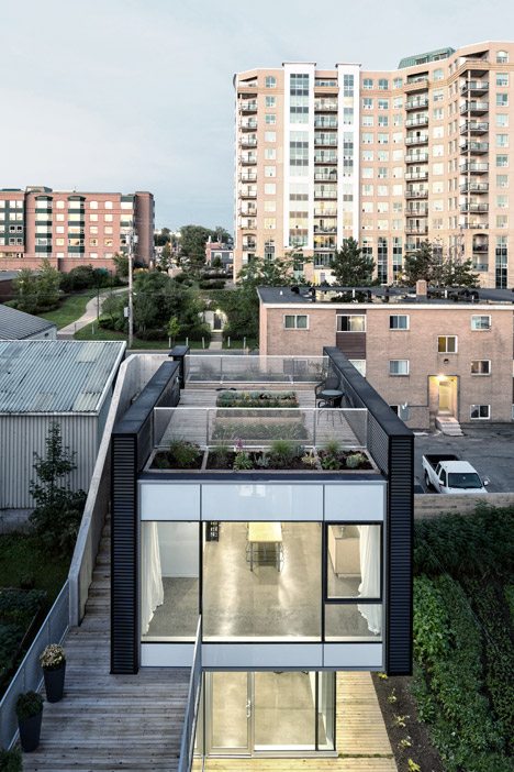 Susan Fitzgerald’s Live-work Space In Halifax Features A Rooftop Vegetable Garden