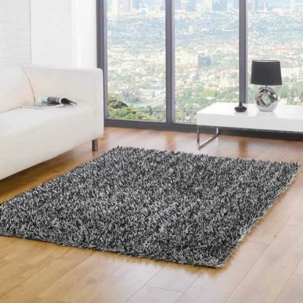 The Shaggy Carpet: A Real Attraction In The Room!