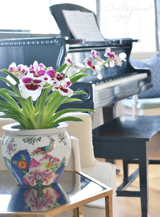 The Orchid Pot + Spring Refresh