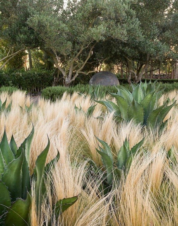 Garden Grasses Enchanting And Adorable For Special Moments