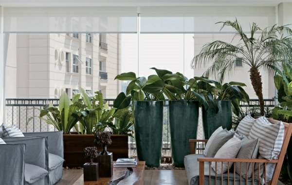 terrace design ideas color design color green home indoor plants flower pots